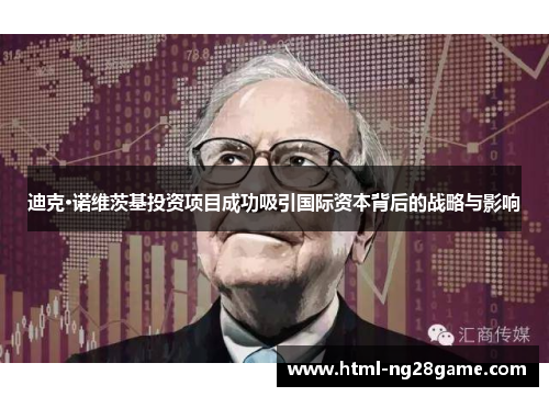 迪克·诺维茨基投资项目成功吸引国际资本背后的战略与影响