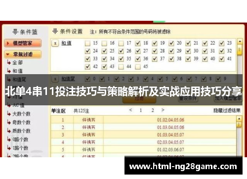 北单4串11投注技巧与策略解析及实战应用技巧分享