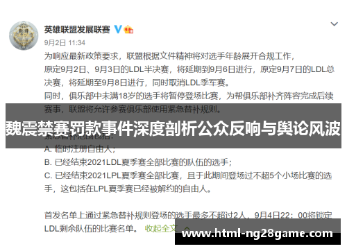 魏震禁赛罚款事件深度剖析公众反响与舆论风波